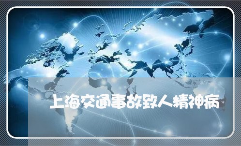 上海交通事故致人精神病/2023022847338 上海交通事故致人精神病/2023022847338