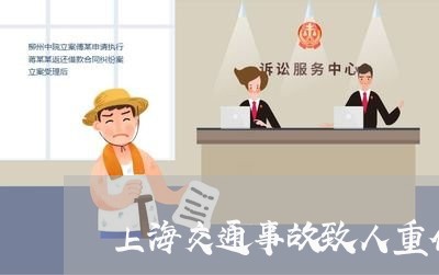 上海交通事故致人重伤植物人/2023033154604 上海交通事故致人重伤植物人/2023033154604