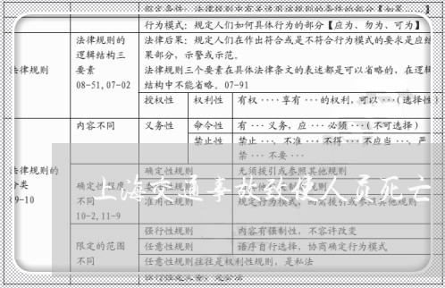 上海交通事故致使人员死亡/2023033184957