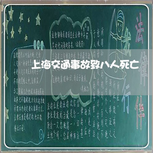 上海交通事故致八人死亡/2023022830626 上海交通事故致八人死亡/2023022830626
