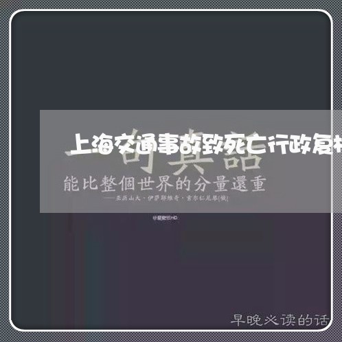 上海交通事故致死亡行政复核/2023033139292