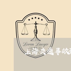 上海交通事故致老人死亡责任/2023033128361