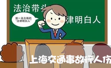 上海交通事故行人伤势/2023021250703 上海交通事故行人伤势/2023021250703