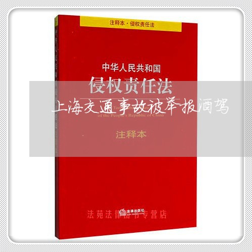 上海交通事故被举报酒驾/2023042258141