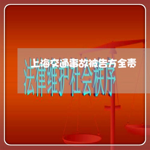 上海交通事故被告方全责/2023022873703 上海交通事故被告方全责/2023022873703