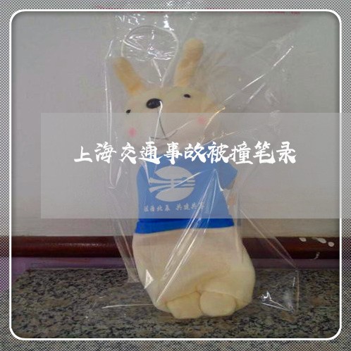 上海交通事故被撞笔录/2023021262613 上海交通事故被撞笔录/2023021262613