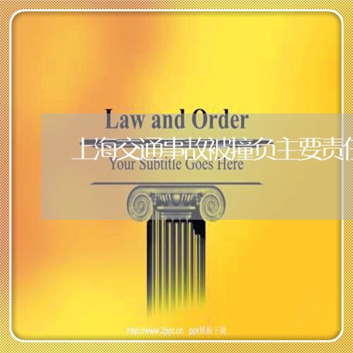 上海交通事故被撞负主要责任/2023033164959 上海交通事故被撞负主要责任/2023033164959