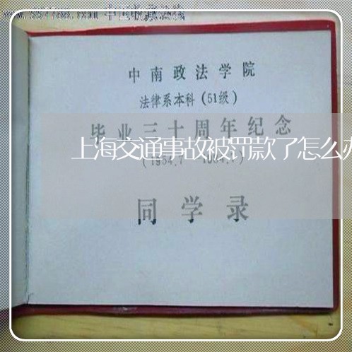 上海交通事故被罚款了怎么办/2023033157372 上海交通事故被罚款了怎么办/2023033157372