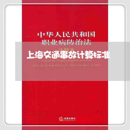 上海交通事故计算标准/2023021283037 上海交通事故计算标准/2023021283037