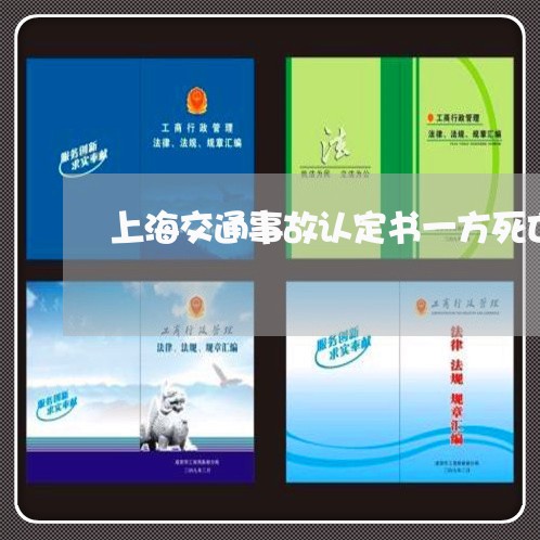 上海交通事故认定书一方死亡/2023033105036