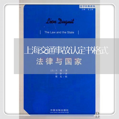 上海交通事故认定书格式/2023042215936