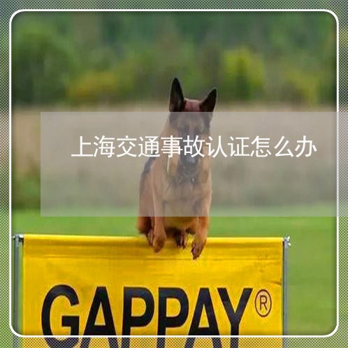 上海交通事故认证怎么办/2023022849269