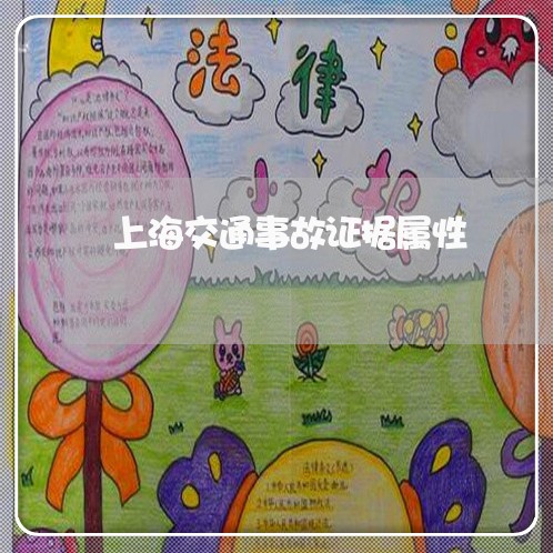 上海交通事故证据属性/2023021226259 上海交通事故证据属性/2023021226259