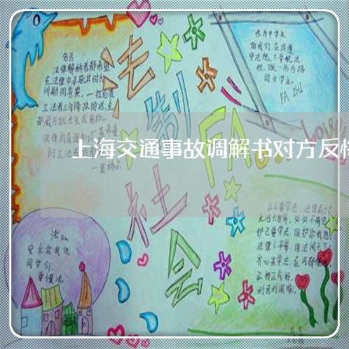 上海交通事故调解书对方反悔/2023033194735