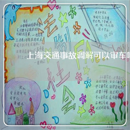 上海交通事故调解可以审车吗/2023033182706