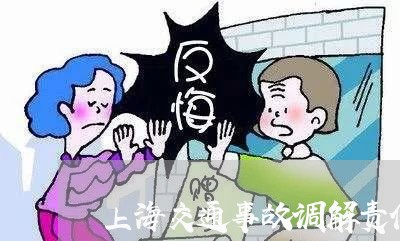 上海交通事故调解责任认定书/2023033162403