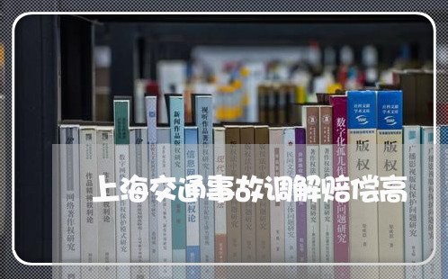 上海交通事故调解赔偿高/2023022821391