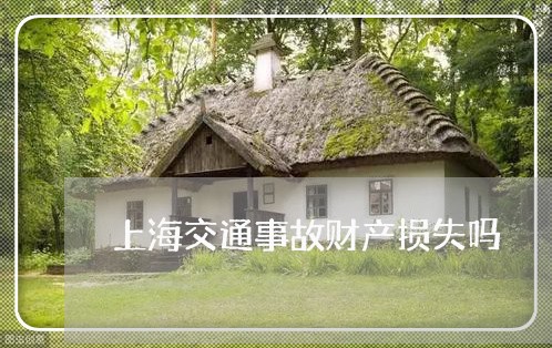 上海交通事故财产损失吗/2023022816039