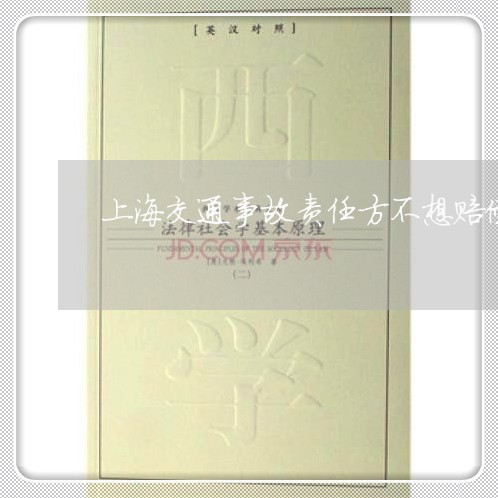 上海交通事故责任方不想赔偿/2023033105048 上海交通事故责任方不想赔偿/2023033105048