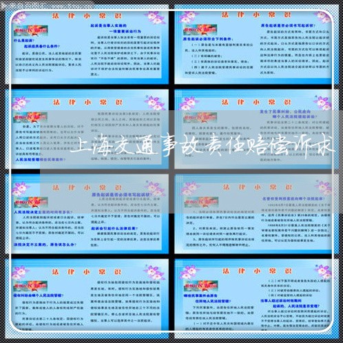 上海交通事故责任赔偿诉求/2023031885837 上海交通事故责任赔偿诉求/2023031885837