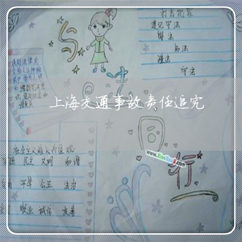 上海交通事故责任追究/2023021237378