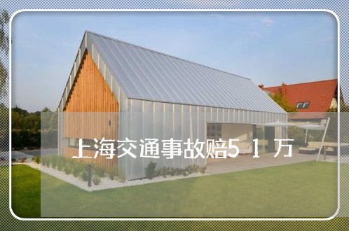 上海交通事故赔51万/2023021235049