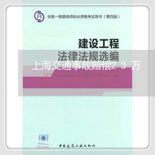 上海交通事故赔偿23万/2023042295937