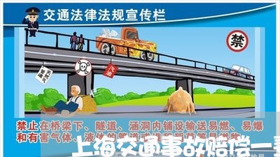 上海交通事故赔偿一辈子/2023022854035