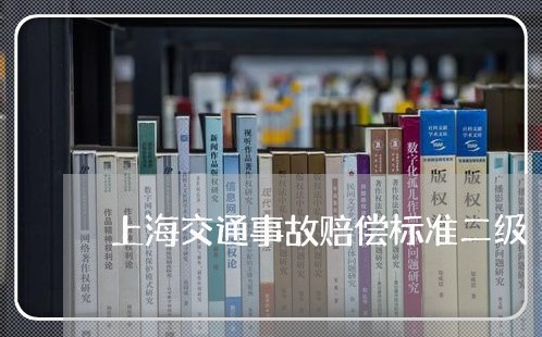 上海交通事故赔偿标准二级/2023031816039