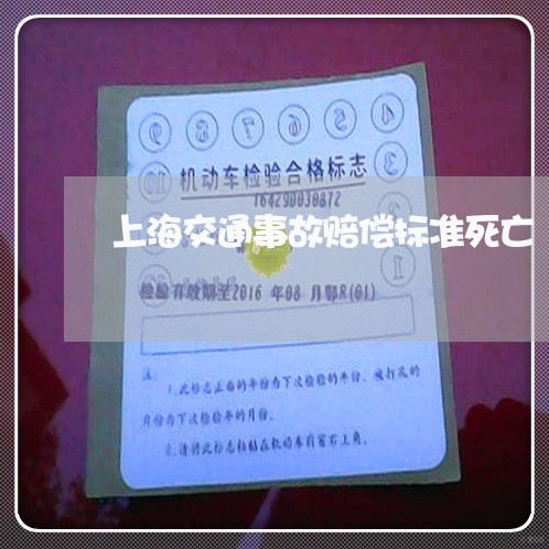 上海交通事故赔偿标准死亡/2023031878474 上海交通事故赔偿标准死亡/2023031878474