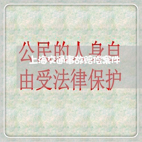 上海交通事故赔偿案件/2023021251381 上海交通事故赔偿案件/2023021251381