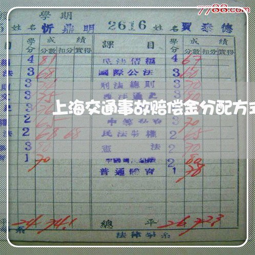 上海交通事故赔偿金分配方式/2023033151494 上海交通事故赔偿金分配方式/2023033151494