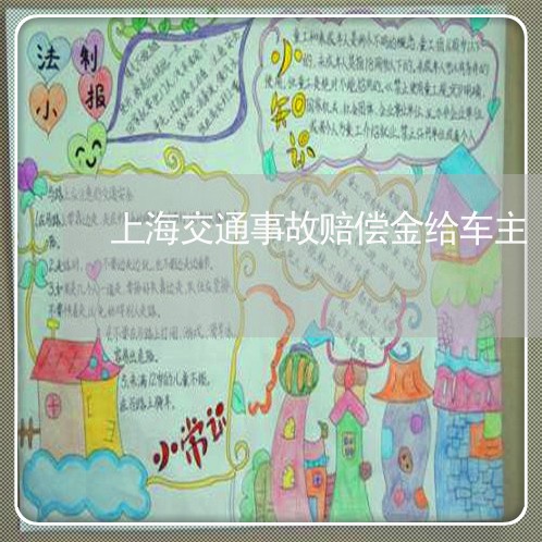 上海交通事故赔偿金给车主/2023031804827