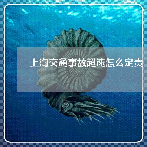 上海交通事故超速怎么定责/2023031899837