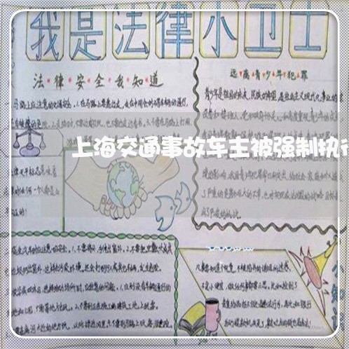 上海交通事故车主被强制执行/2023033162494