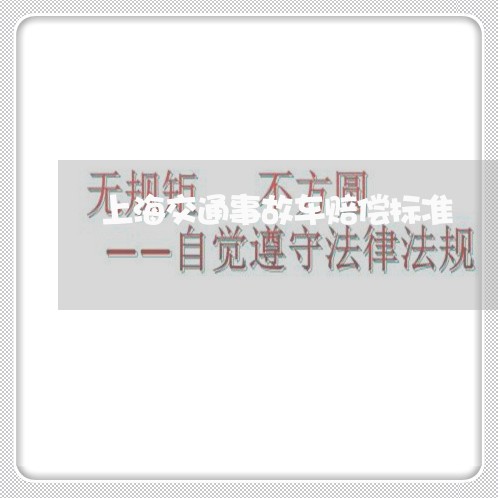 上海交通事故车赔偿标准/2023022886837 上海交通事故车赔偿标准/2023022886837