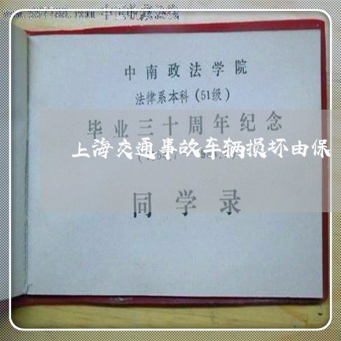上海交通事故车辆损坏由保/2023031805036 上海交通事故车辆损坏由保/2023031805036