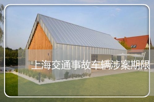 上海交通事故车辆涉案期限/2023031894938 上海交通事故车辆涉案期限/2023031894938