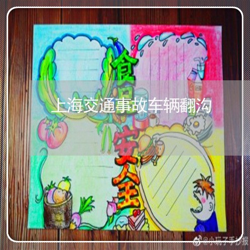 上海交通事故车辆翻沟/2023021268251 上海交通事故车辆翻沟/2023021268251
