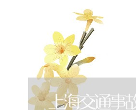 上海交通事故车辆超速100/2023033116250 上海交通事故车辆超速100/2023033116250