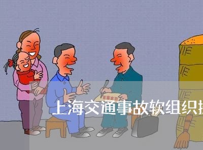 上海交通事故软组织挫伤2万/2023033158284 上海交通事故软组织挫伤2万/2023033158284