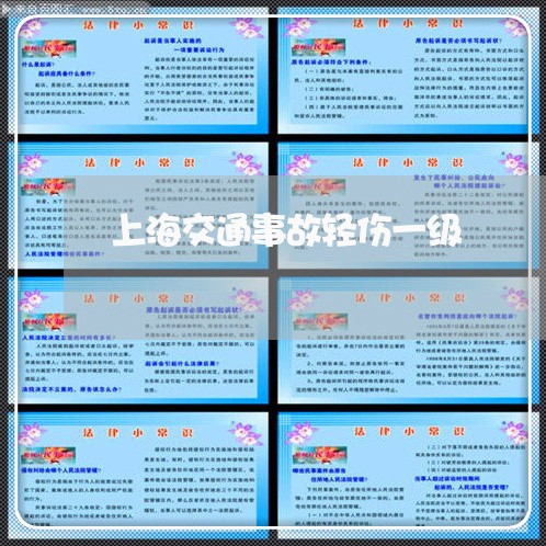 上海交通事故轻伤一级/2023021273706 上海交通事故轻伤一级/2023021273706