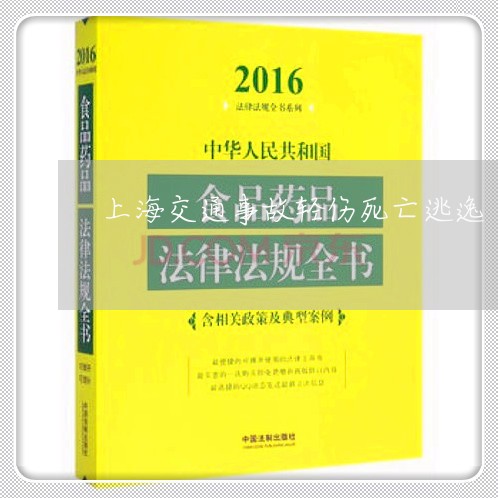 上海交通事故轻伤死亡逃逸/2023033171605