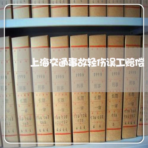 上海交通事故轻伤误工赔偿/2023031872692