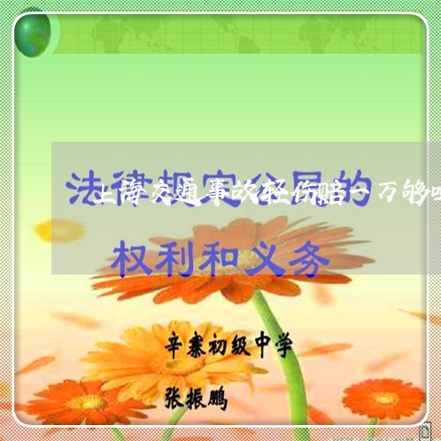 上海交通事故轻伤赔一万够吗/2023033160691 上海交通事故轻伤赔一万够吗/2023033160691