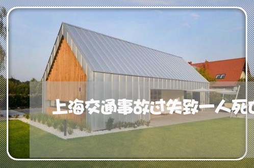 上海交通事故过失致一人死亡/2023033195737 上海交通事故过失致一人死亡/2023033195737