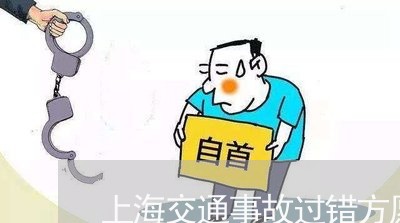 上海交通事故过错方愿全赔/2023031804817 上海交通事故过错方愿全赔/2023031804817