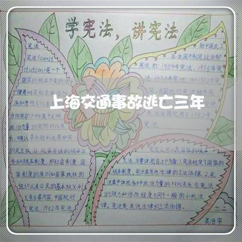 上海交通事故逃亡三年/2023021239259 上海交通事故逃亡三年/2023021239259