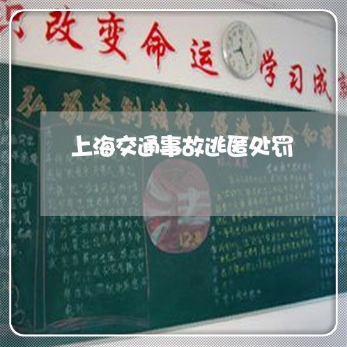 上海交通事故逃匿处罚/2023021227250 上海交通事故逃匿处罚/2023021227250