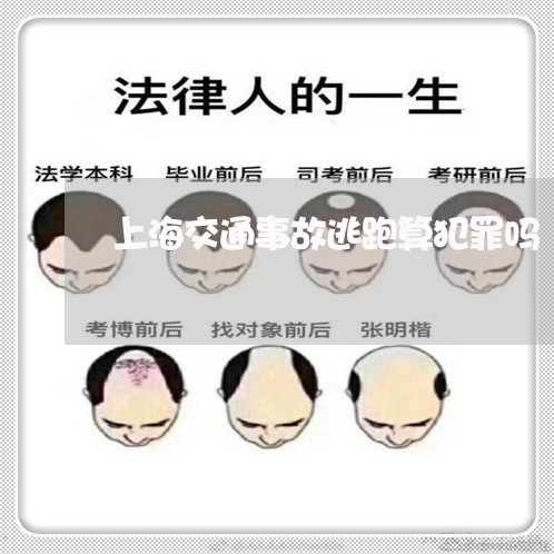 上海交通事故逃跑算犯罪吗/2023031860414 上海交通事故逃跑算犯罪吗/2023031860414